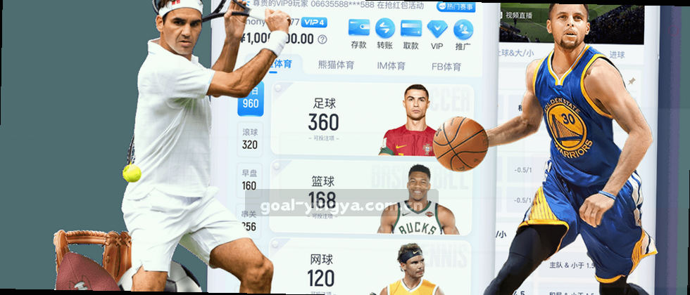 隐私政策与用户权益说明